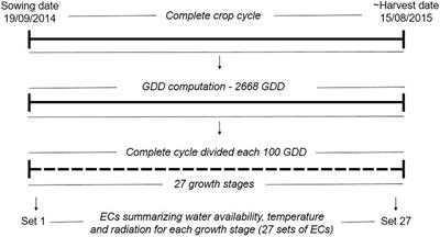 Integrating a growth degree-days based reaction norm methodology and multi-trait modeling for genomic prediction in wheat
